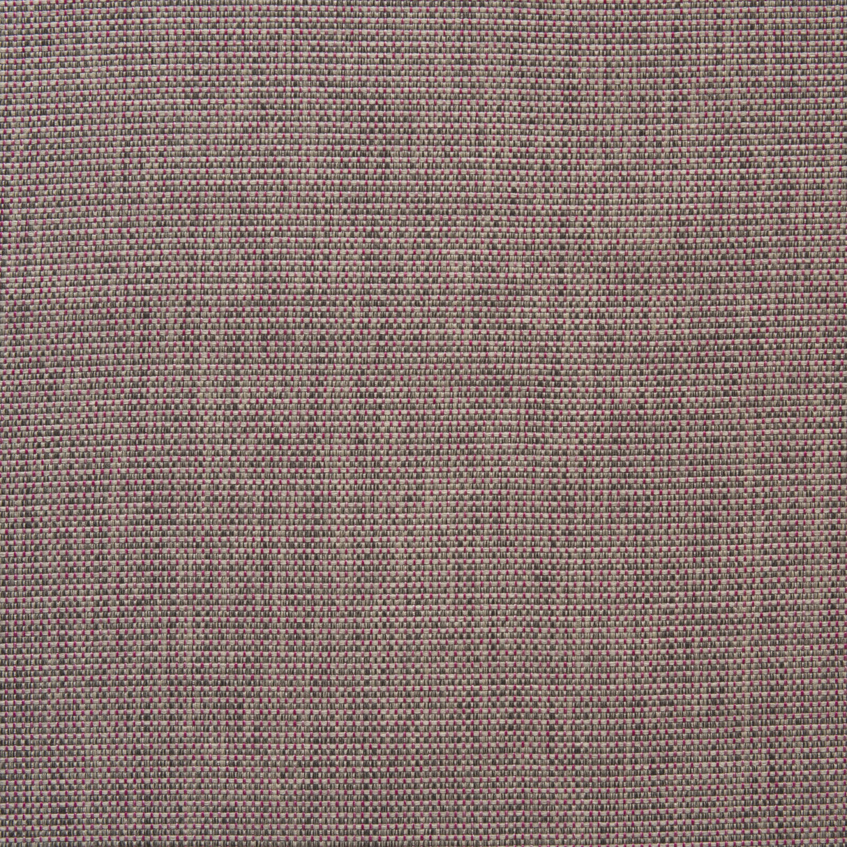 Andrew Martin BARRINGTON PARADISE Upholstery Fabric