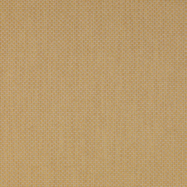 Lee Jofa DEVON GOLD Upholstery Fabric