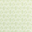 Kravet MALINA GRASS Fabric