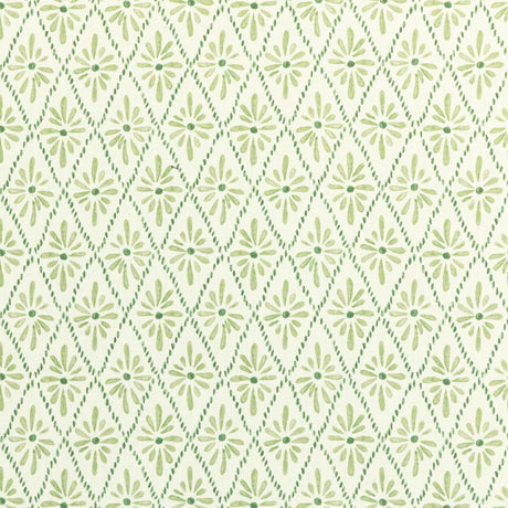 Kravet MALINA GRASS Fabric