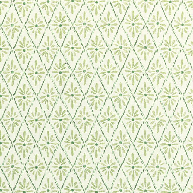 Kravet MALINA GRASS Fabric