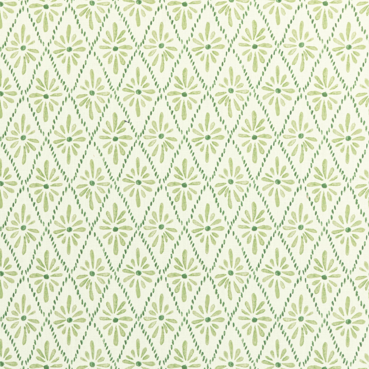 Kravet MALINA GRASS Fabric
