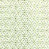 Kravet MALINA GRASS Fabric