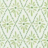 Kravet MALINA GRASS Fabric