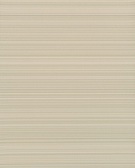 Winfield Thybony STINSON DOVE Wallpaper