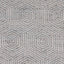 Stout SPELLBOUND PLATINUM Fabric