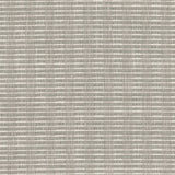 Stout DAYDREAM CARBON Fabric