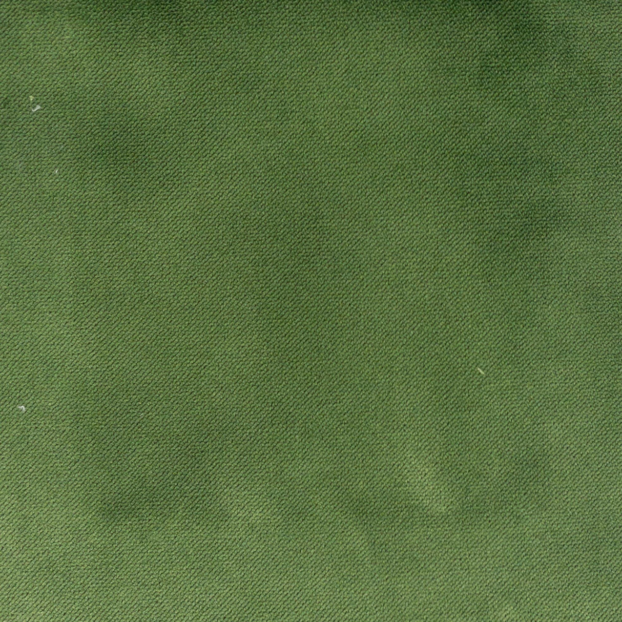 Stout PREMIER GRASS Fabric
