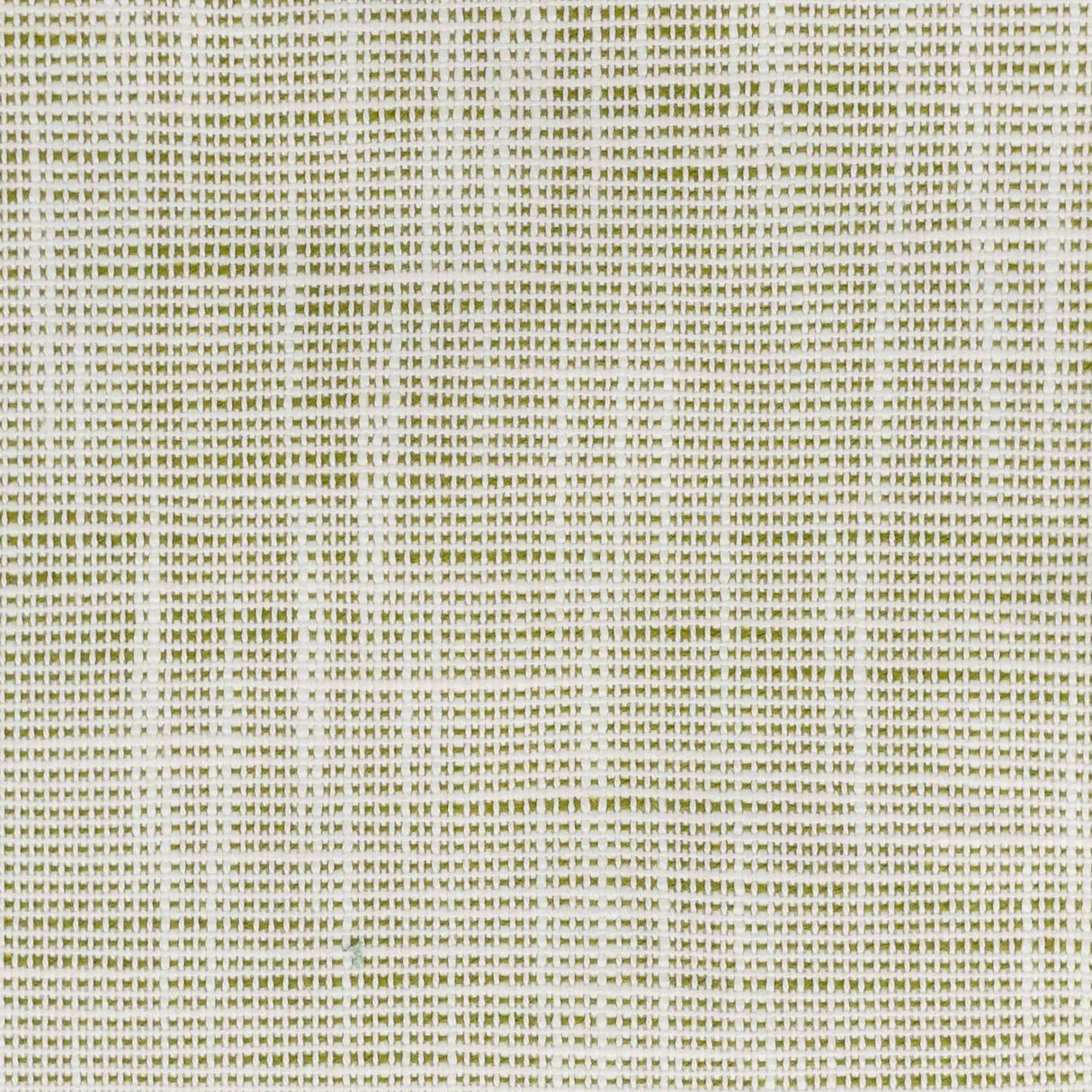 Stout FAME SEEDLING Fabric