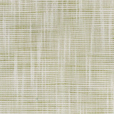 Stout FAME SEEDLING Fabric