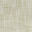 Stout FAME SEEDLING Fabric