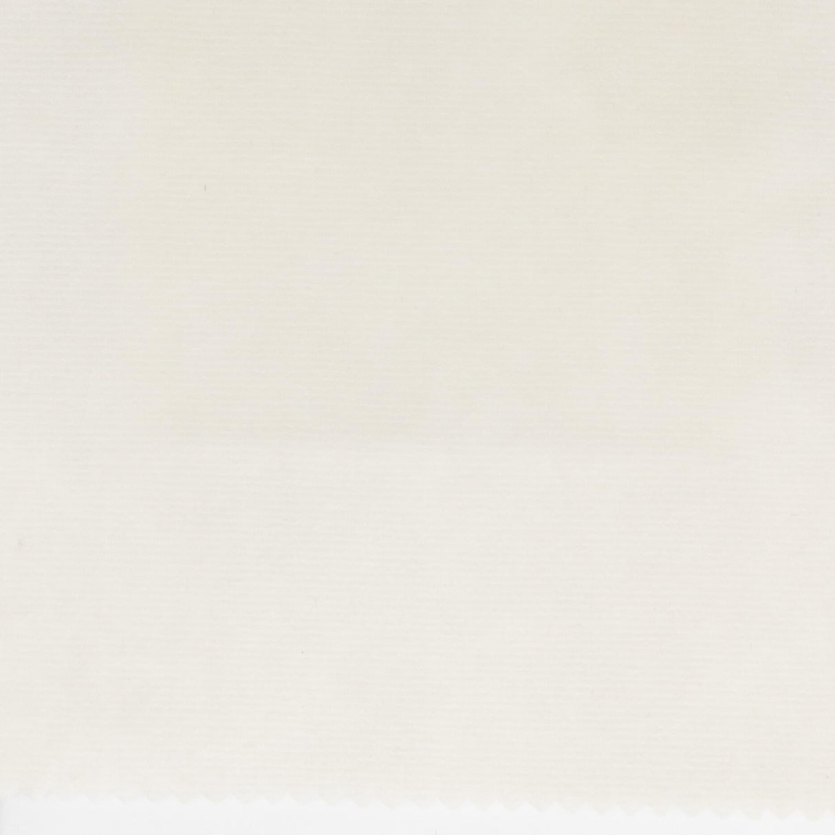 Stout HAIKU BONE Fabric