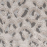 Stout ARGUS DOVE Fabric