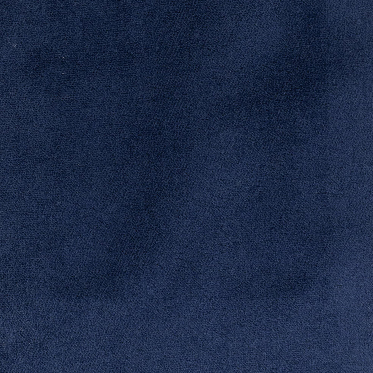 Stout PREMIER ROYAL Fabric