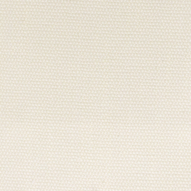 Stout DIMITRI PEARL Fabric