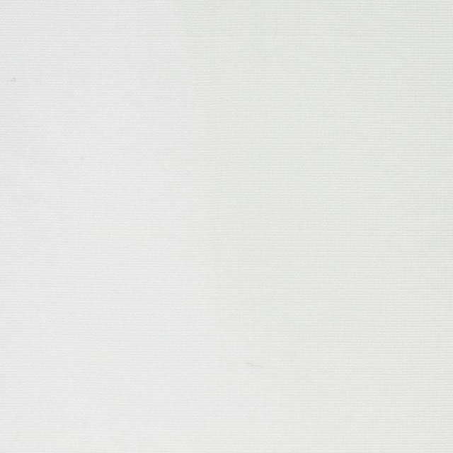 Stout DUPIONI SNOW Fabric