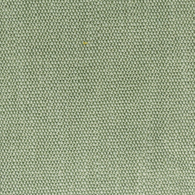 Stout DIMITRI SEEDLING Fabric