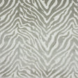 Stout LAROSA PLATINUM Fabric