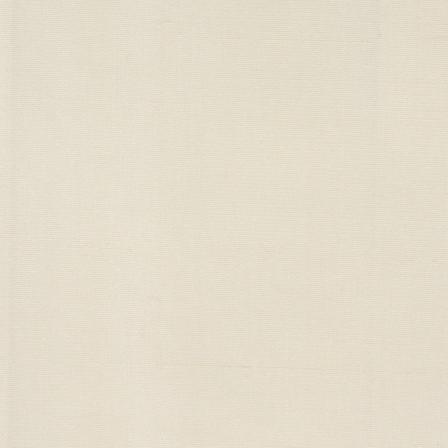 Stout DUPIONI ECRU Fabric