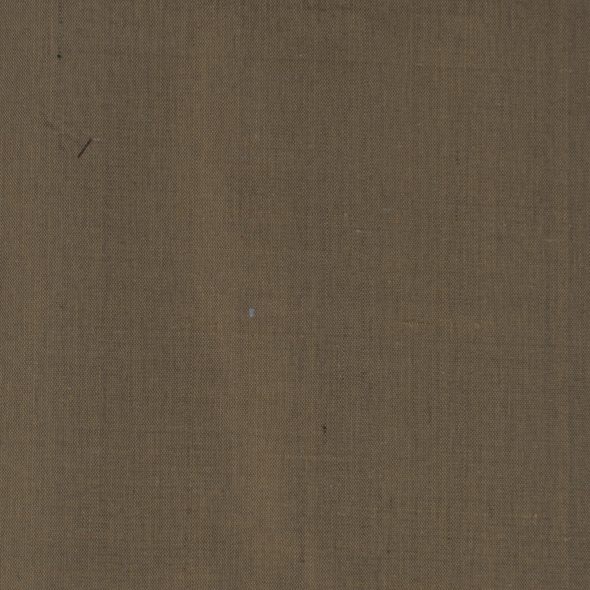 Stout DUPIONI MUSHROOM Fabric