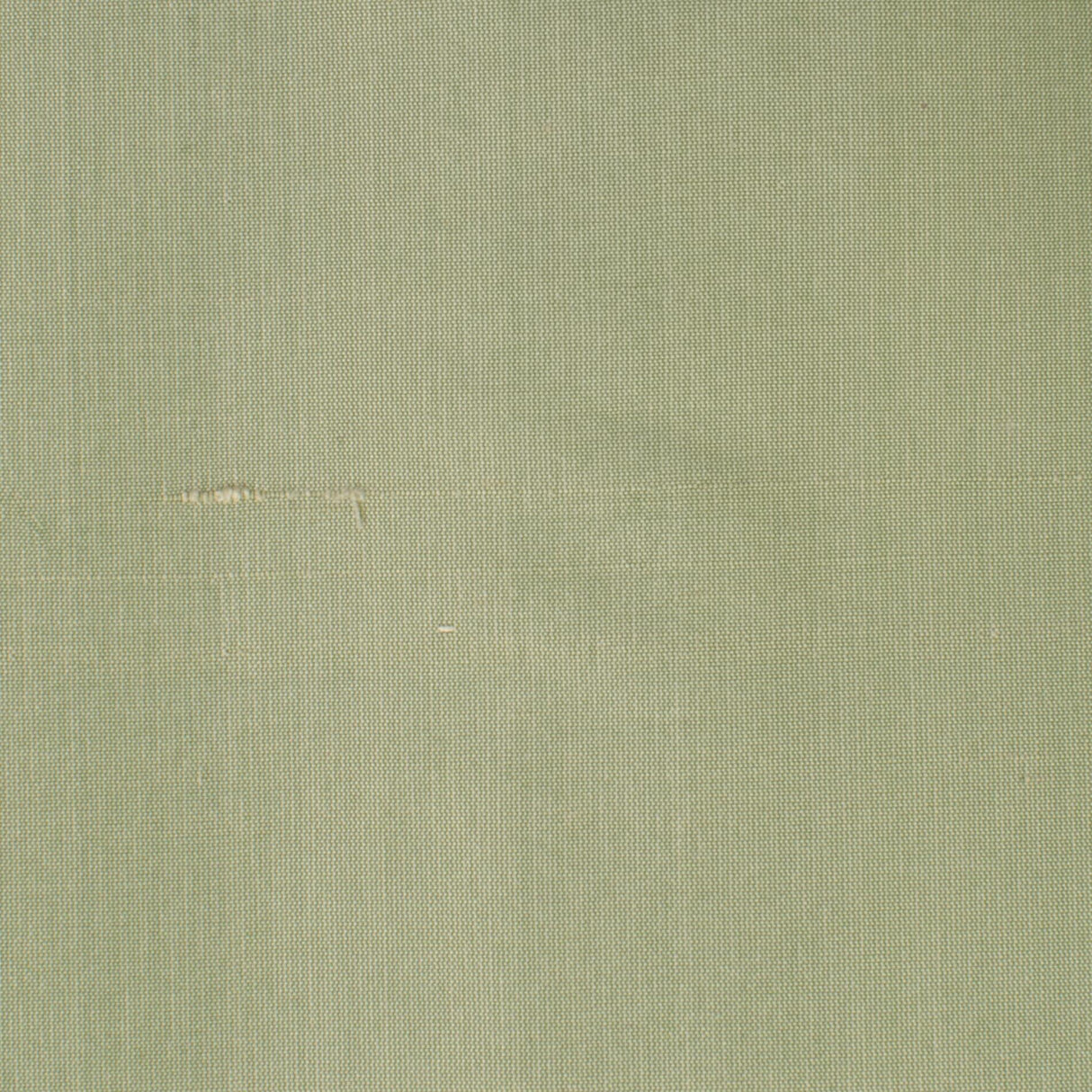 Stout DUPIONI BALSAM Fabric