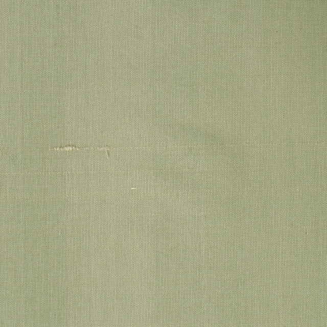 Stout DUPIONI BALSAM Fabric