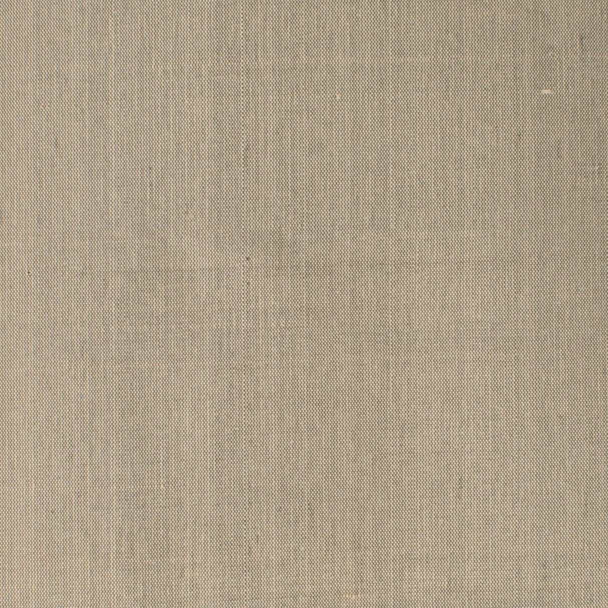Stout DUPIONI SESAME Fabric