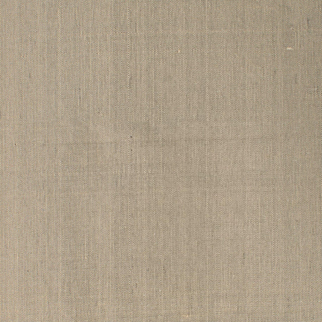 Stout DUPIONI SESAME Fabric