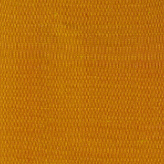 Stout DUPIONI TAXI Fabric