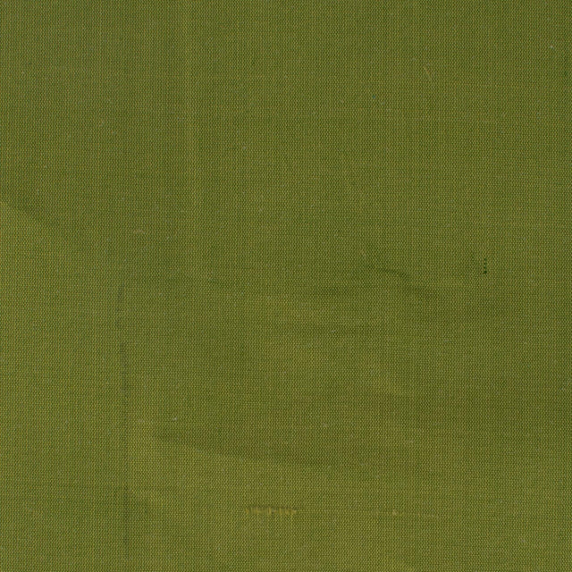 Stout DUPIONI EMERALD Fabric