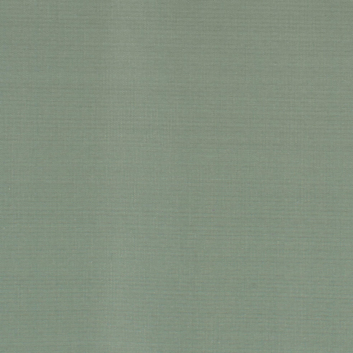 Stout DUPIONI DEWKIST Fabric