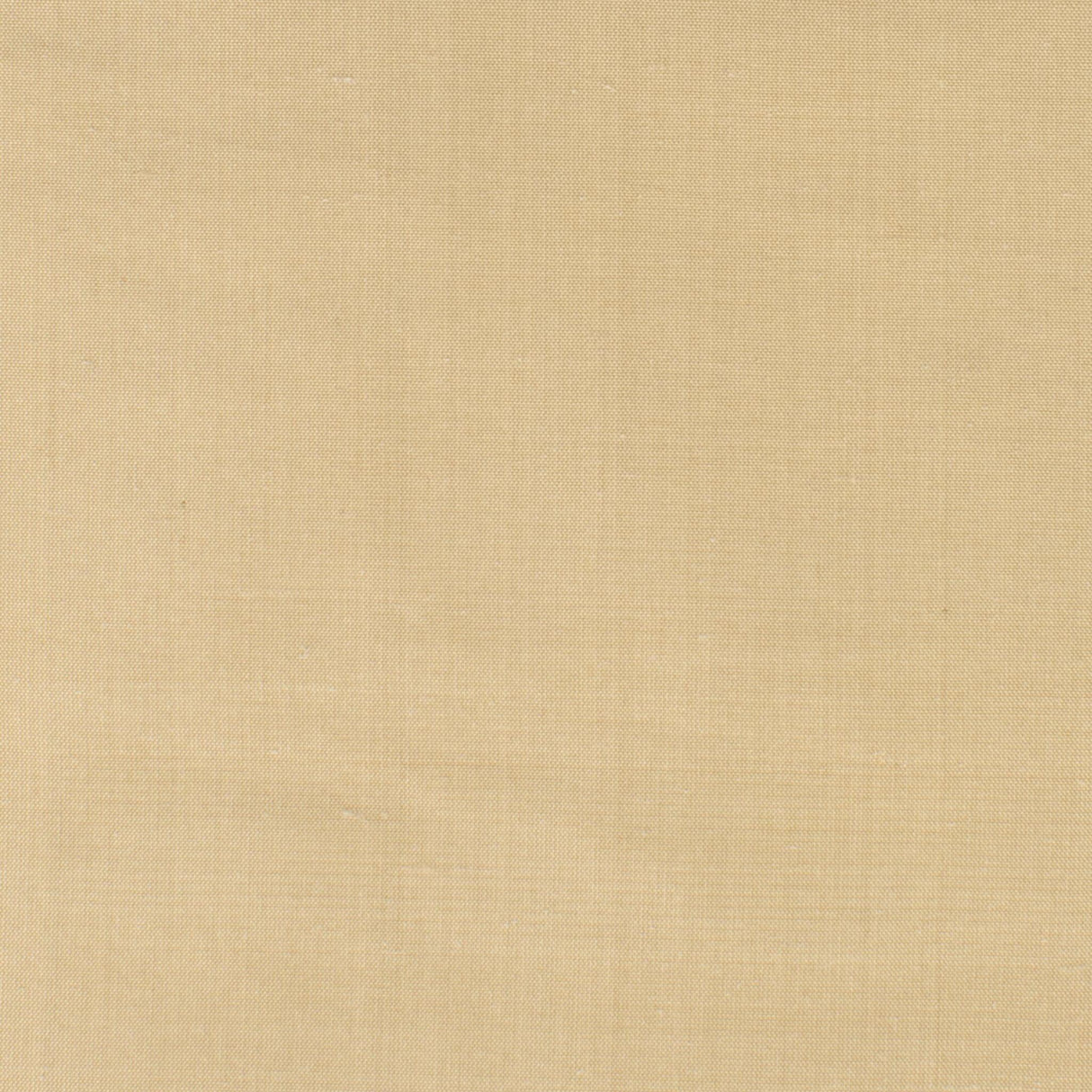 Stout DUPIONI CHAMOIS Fabric
