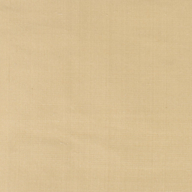 Stout DUPIONI CHAMOIS Fabric