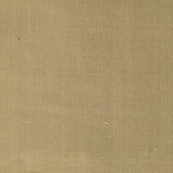 Stout DUPIONI TRUFFLE Fabric