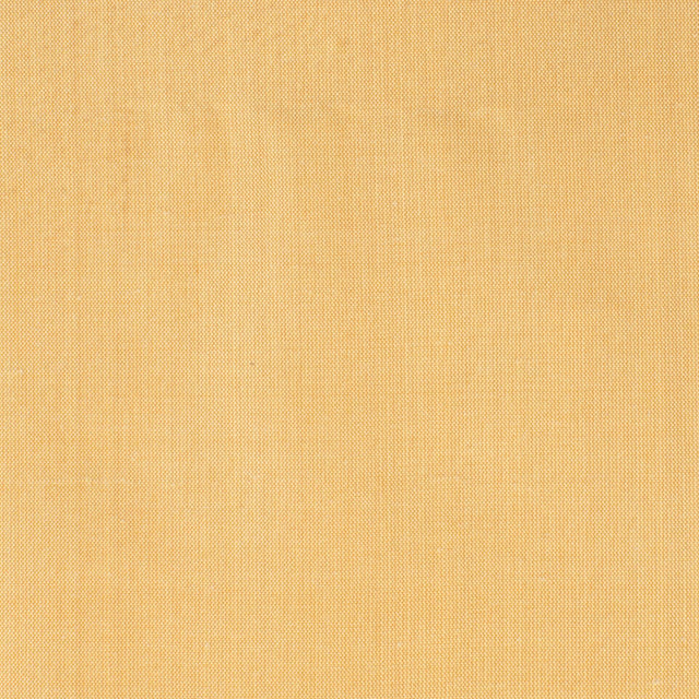 Stout DUPIONI TAWNY Fabric