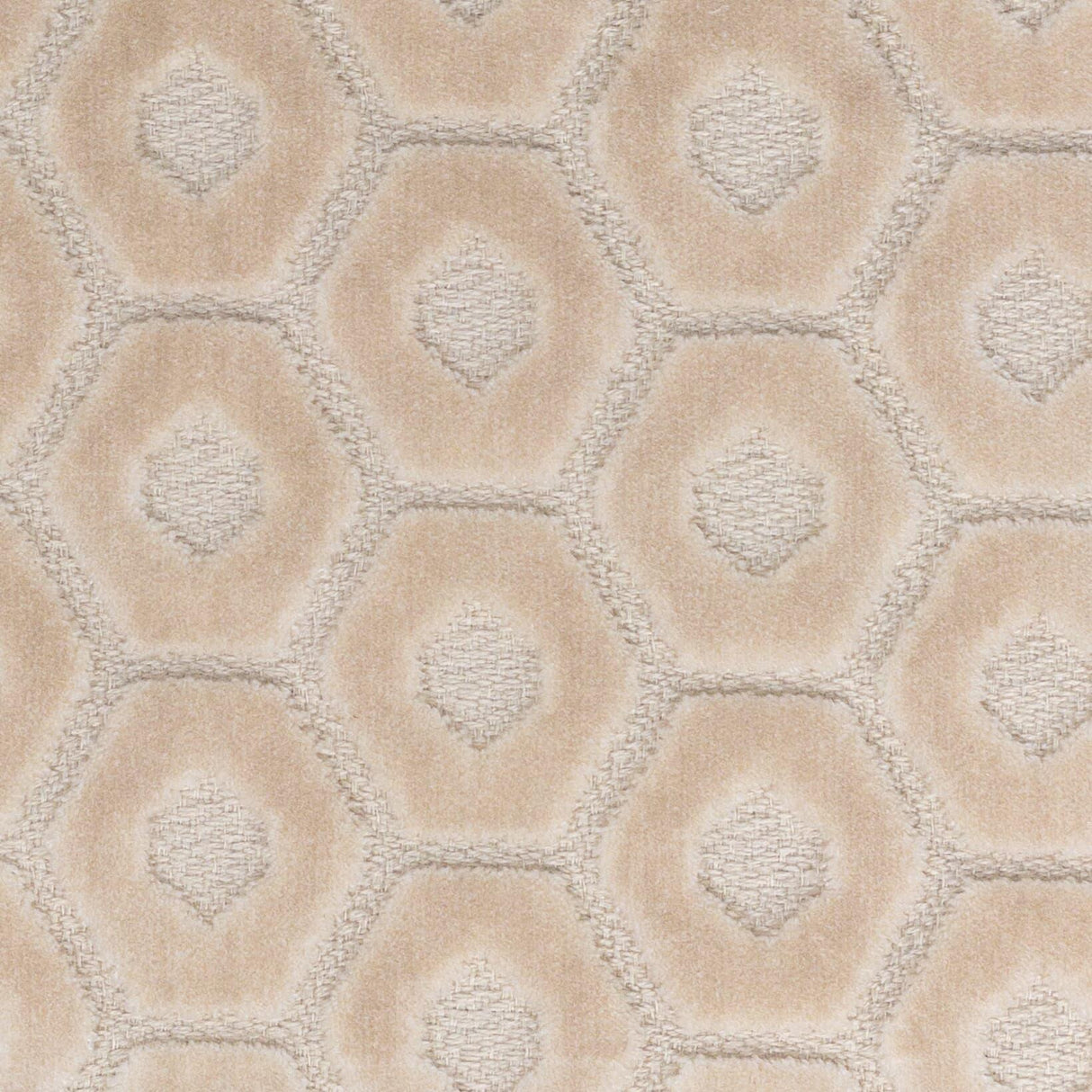 Stout TAMBOURINE CREAM Fabric