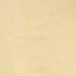Stout DUPIONI CHAMPAGNE Fabric