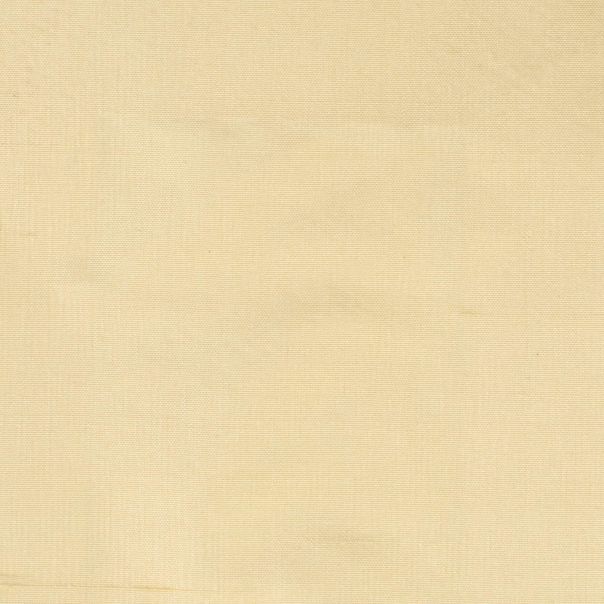 Stout DUPIONI CHAMPAGNE Fabric