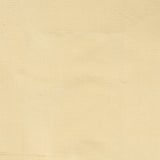 Stout DUPIONI CHAMPAGNE Fabric