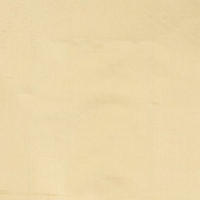 Stout DUPIONI CHAMPAGNE Fabric