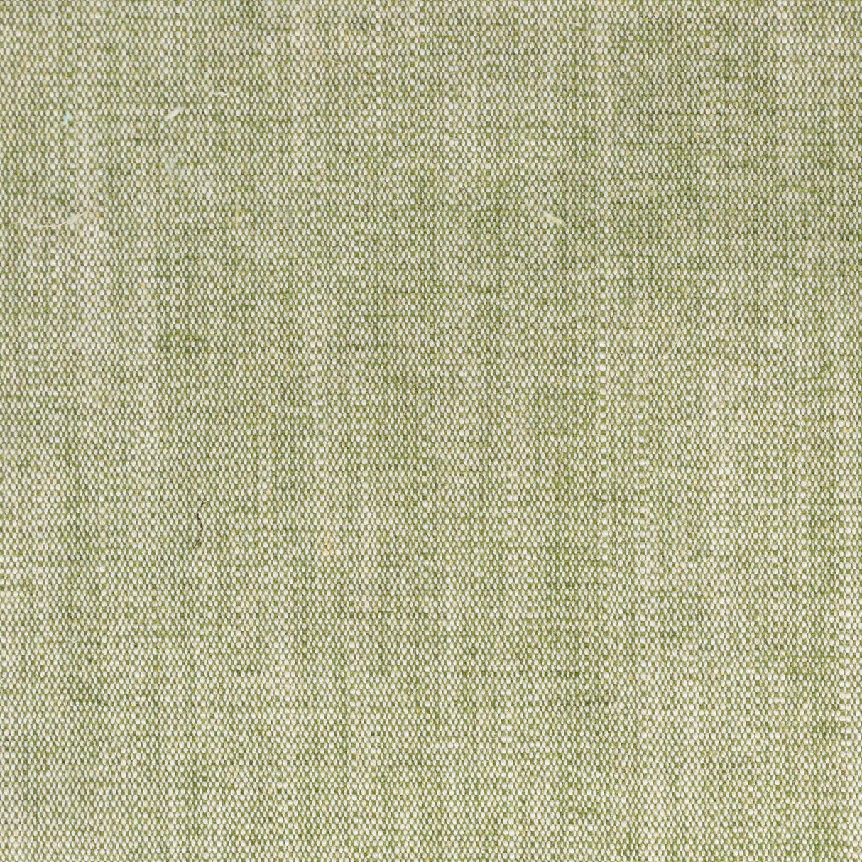 Stout JUDSON BASIL Fabric