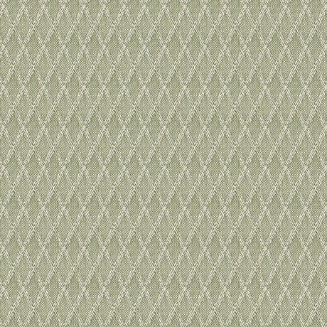 Stout WYNNEWOOD GRASS Fabric