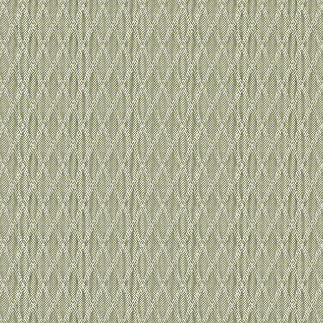 Stout WYNNEWOOD GRASS Fabric