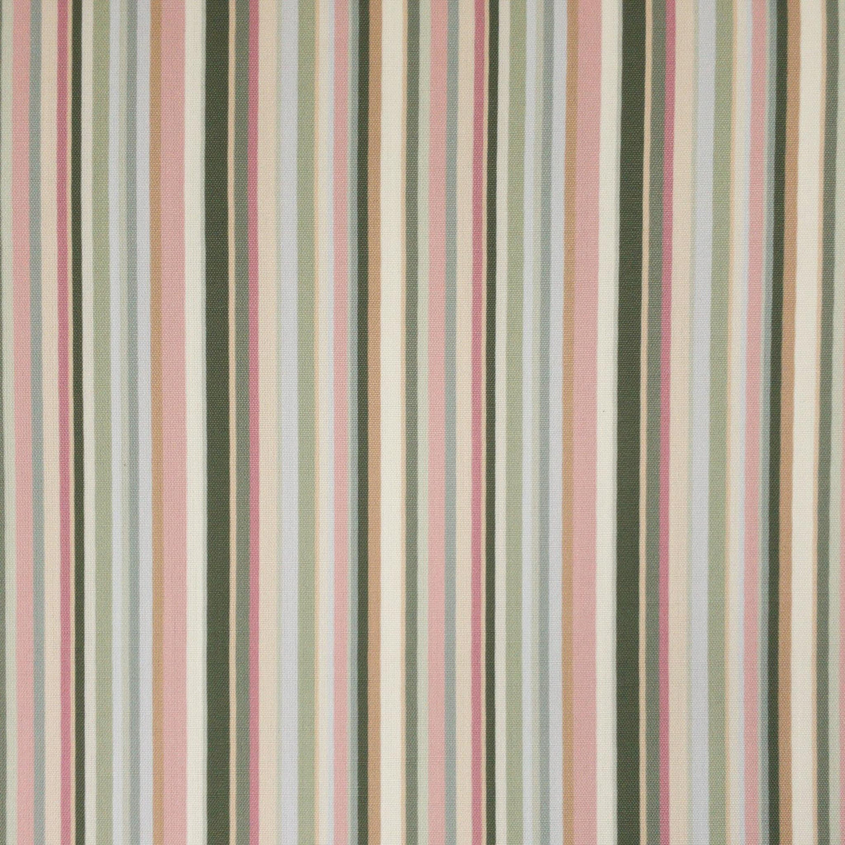 Stout CLANDON OLIVE Fabric