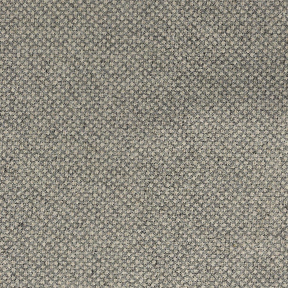 Stout TAVARES GRAPHITE Fabric