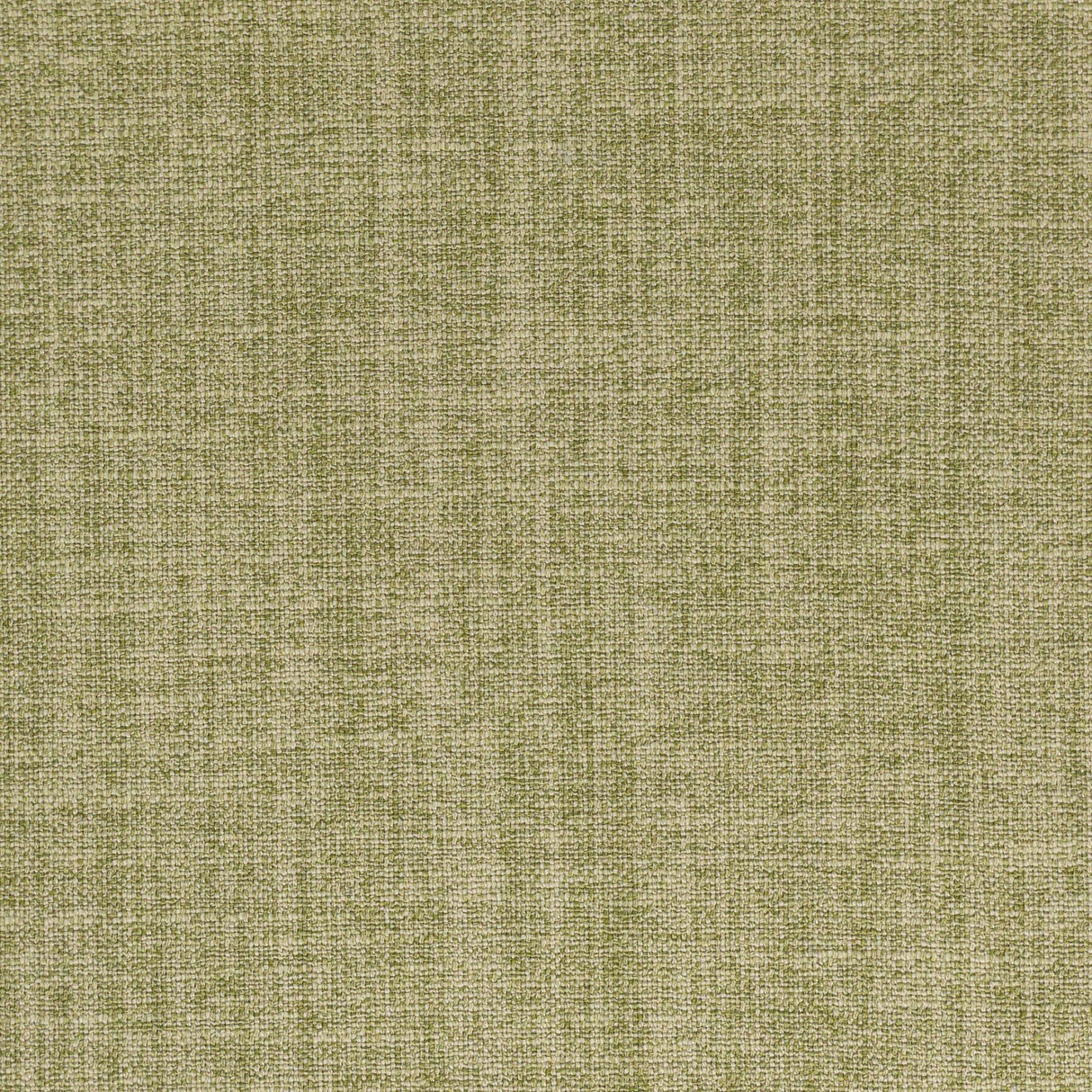 Stout DOLLY CYPRESS Fabric