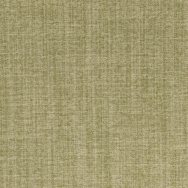 Stout DOLLY CYPRESS Fabric