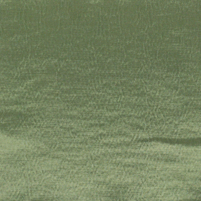 Stout REED CYPRESS Fabric