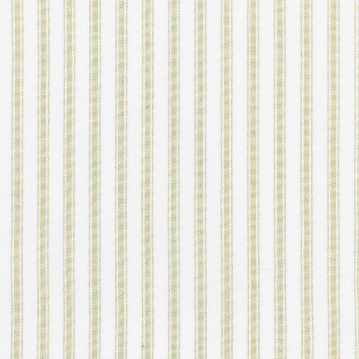 Stout SHILOH ALOE Fabric