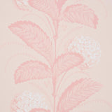 Schumacher Hydrangea Drape Blush Wallpaper